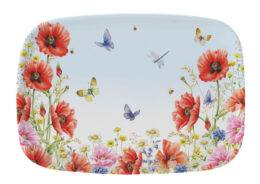 Janneke Brinkman Dienblad KLAPROZEN