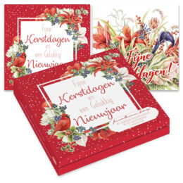 Janneke Brinkman kerstboxjes ROOD PASSE-PARTOUT - WINTERBOEKET