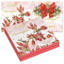 Janneke Brinkman kerstkaartenmapje STRIK / AMARYLLIS